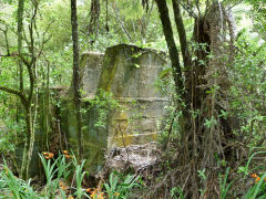 
Talisman foundations in the undergrowth, Karangahake, January 2013